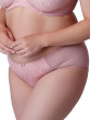 Beauty Deep Brief - Ash Rose