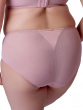 Beauty Deep Brief - Ash Rose