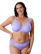 Beauty Lace Deep Brief - Violet Tulip