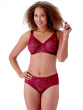 Beauty Deep Brief - Burgundy