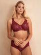 Beauty Deep Brief - Burgundy