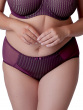 Beauty Stripe Deep Brief - Fig
