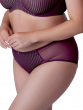 Beauty Stripe Deep Brief - Fig